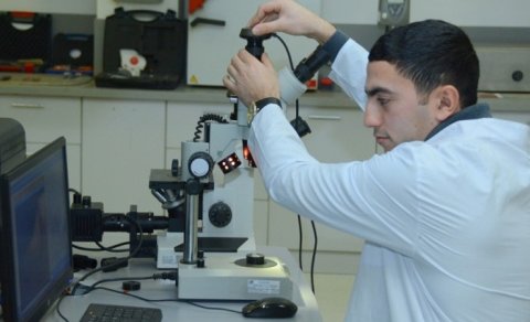 Ali təhsil müəssisələrinin yaralı yeri: Güvən və koordinasiya problemi