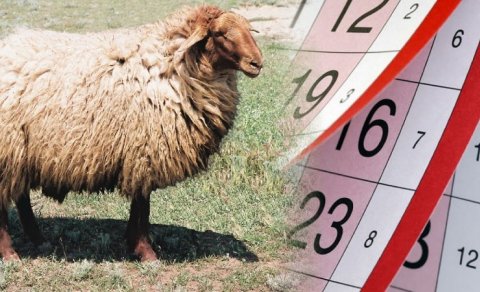 Qurban bayramında nələr haram sayılır?