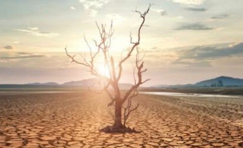 Atmosfer susuzluğu quraqlığın artmasının əsas səbəbidir - ARAŞDIRMA