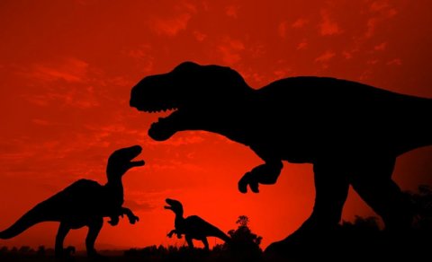 Dinozavrların əcdadları Trias dövründəki həddindən artıq istiyə necə dözüb?