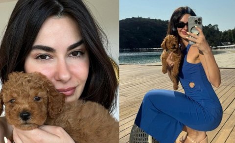 Nəsrindən ünvanına yazılan tənqidlərə cavab - FOTO