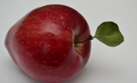 Almaların üzərindəki kiçik nöqtələr: Nədir və nə üçün lazımdır?
