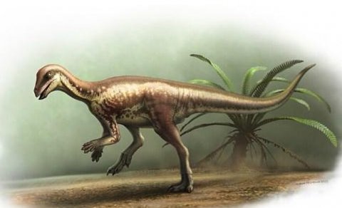 Sirli qaçan dinozavr Yura dövrünün başqa bir sirrini açdı