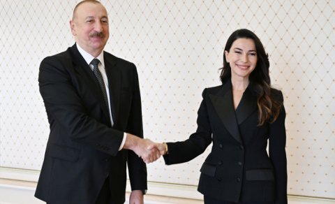 Prezident Gürcüstanın iqtisadiyyat və davamlı inkişaf nazirini qəbul etdi - FOTO