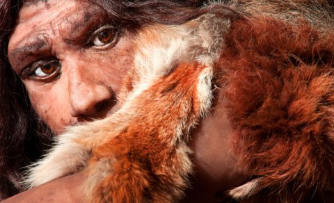 Neandertalların özünə məxsus yeməkləri olub: Alimlər fərqli ət doğrama üsulları tapdı