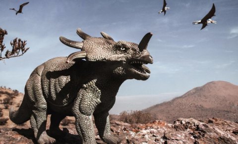 Kanadada alimləri heyrətə salan unikal dinozavr izləri aşkar edildi: Onları nə fərqləndirir?