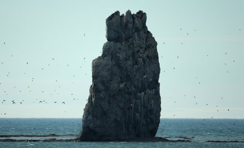 Arktikada təbii radioaktivlik sürətlə artır