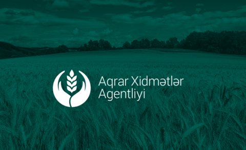 Aqrar Xidmətlər Agentliyinin 256 min manatlıq tenderi niyə ləğv edildi