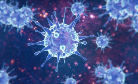 Milyonlarla insana təsir edən, amma heç kimin danışmadığı virus: HTLV-1 nədir?