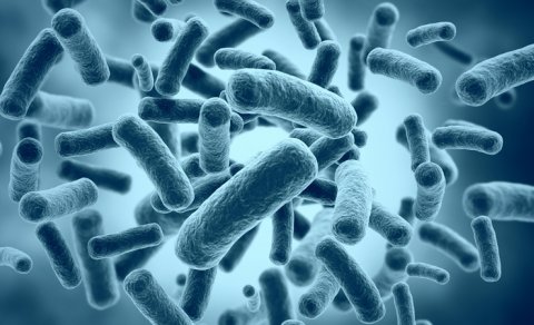 Antibiotiklərin müqavimətli bakteriyalara qarşı gücünü bərpa etməyin bir yolu tapıldı