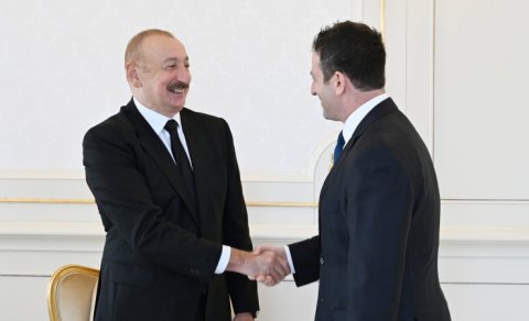 Prezident "The Goldman Sachs Group Inc." şirkətinin qlobal məsələlər üzrə prezidentini qəbul etdi - YENİLƏNİB