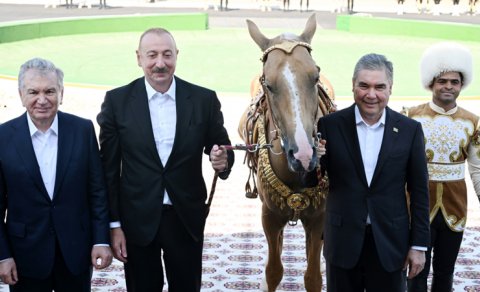 Azərbaycan Prezidentinə "Axaltəkə" atı hədiyyə edildi - FOTO