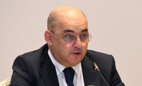 Şahin Bağırov rəisi işdən çıxardı