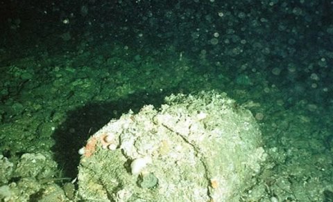 Atlantik okeanındakı "radioaktiv saatlı bomba" partlamağa hazırdır