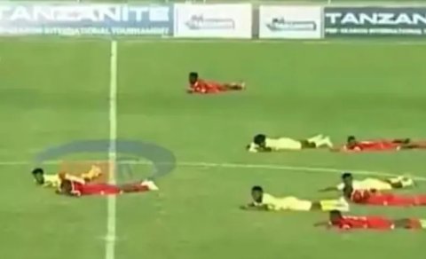 Arılar futbol matçını dayandırdı
