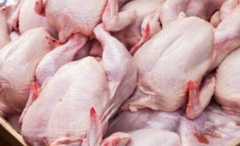 Azərbaycanda quş əti ilə özünütəminat səviyyəsi kəskin azaldı: Səbəb nədir?