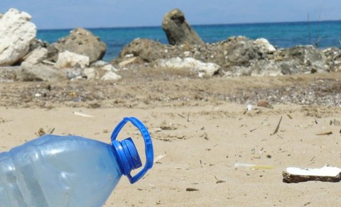 Alimlər bakteriyalara plastiki parçalamağı öyrətdi və karbon uducu material ixtira etdi