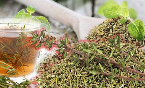 Kimlər kəkliotu çayı içə bilməz