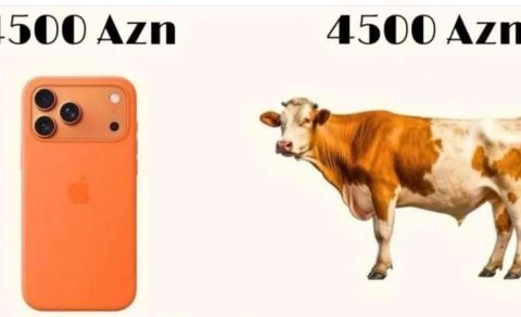 4500 manata "iPhone", yoxsa inək?