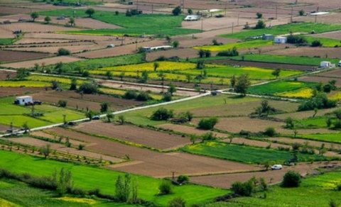 Bakıda torpaq 20 faiz bahalaşdı