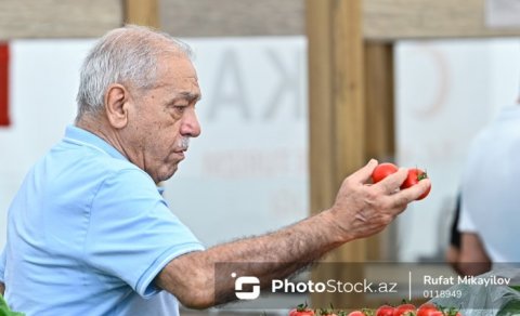 Pomidor və xiyar bahalaşır - Səbəb nədir?
