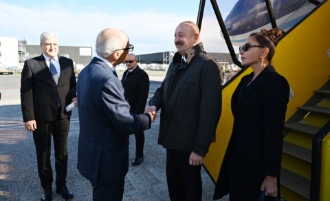 Prezident və birinci xanım Danimarkaya səfərə getdi