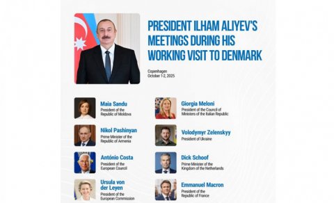 Prezident Danimarka səfəri ilə bağlı paylaşım etdi