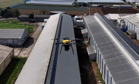 Yapon fermerlər toyuqları quşlardan qorumaq üçün lazer dronlarından istifadə edəcək - VİDEO