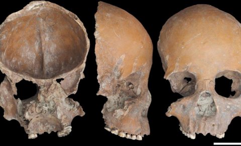 Qədim çinlilər əcdadlarının sümüklərindən fincan və maskalar düzəldirmiş - FOTO