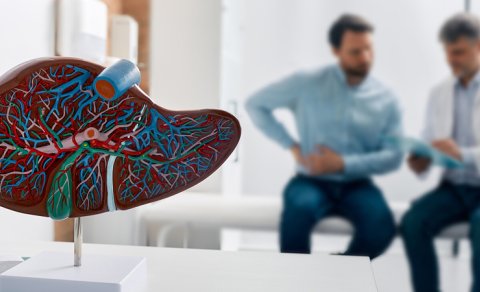 Qaraciyər xəstəliklərini geri çevirə bilən təbii vasitə tapıldı