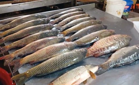 Bakı bazarlarında balıq da bahalaşdı