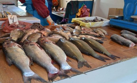 
Balığı bahalaşdıran nədir: Dabaq, yoxsa monopolistlər?