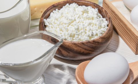 Süd məhsulları arteriyalarda kalsifikasiya riskini azaldır