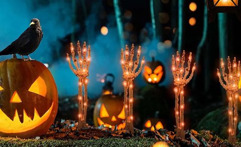 Azərbaycanda "Halloween" məhsulları neçəyə təklif olunur? - QİYMƏTLƏR