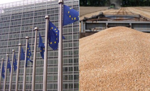 Üç Aİ ölkəsi ticarət razılaşması ilə bağlı Brüsselə qarşı çıxır