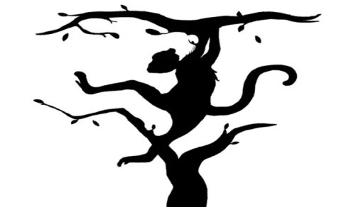 Beyninizin hansı yarımkürəsi dominantdır? - Özünüzü sınayın