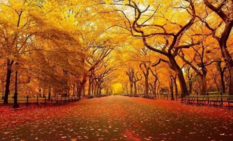 Oktyabrda Azərbaycanda müşahidə olunan hava PROQNOZU