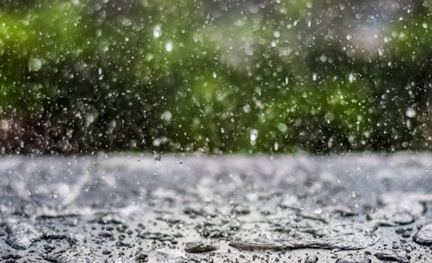 Leysan gözlənilir - Sabahın havası