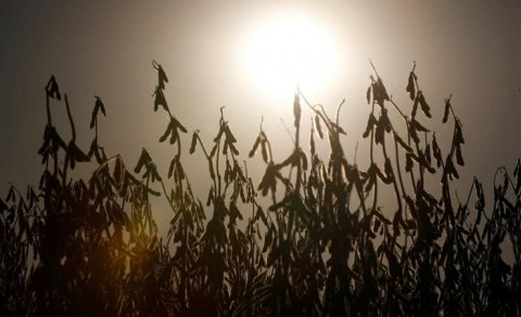 Yer “istixana trayektoriyası"na daxil olur - İqlim xaosu