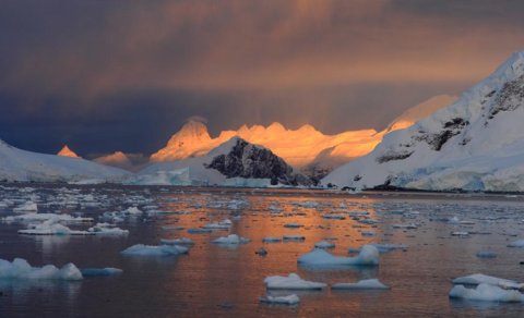 Antarktida sularının altında sirli işıqlanma