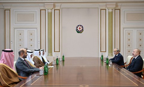 Prezident Ərəb Koordinasiya Qrupuna daxil olan üzv qurumların rəhbər şəxslərini qəbul etdi - FOTO