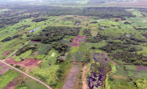 Mayya sivilizasiyasının ən böyük abidəsinin sirri açıldı