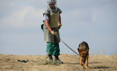 Qazaxın azad edilmiş kəndlərinin indiyədək nə qədər hissəsi minalardan təmizlənib?