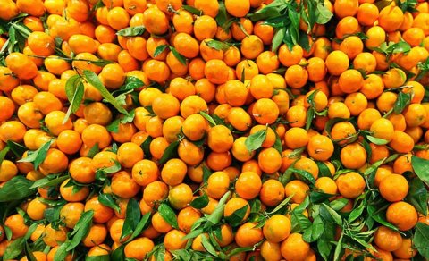 Kimlər naringi yeyə bilməz?