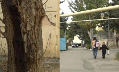 6-cı mikrorayon sakinlərini bezdirən problem - VİDEO