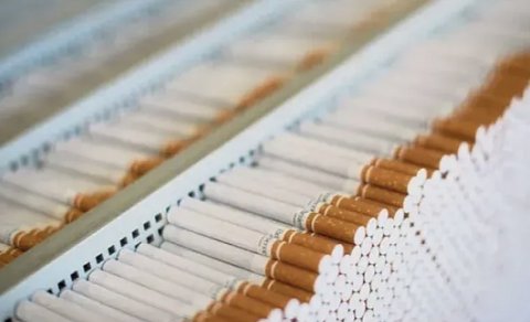 Siqaret istehsalında 5%-dən çox artım