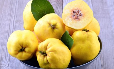 Heyva qan dövranını artırır?