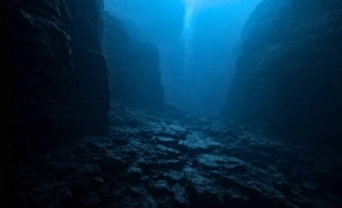 İnsan təcrübəsi okean dibinin bir hissəsində bütün həyatı necə məhv etdi?