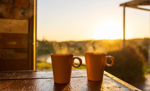 Ürək sağlamlığı üçün hər gün nə içmək lazımdır?