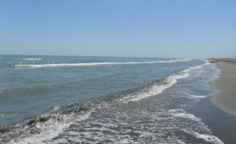 Bakıda ana 3 günlük körpəsini dənizə ataraq öldürüb